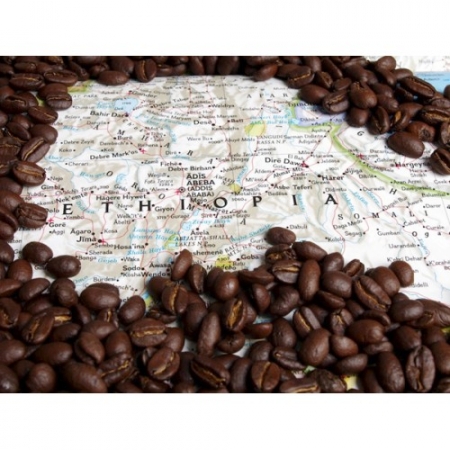 Геном кофе подтвердил его эфиопские корни