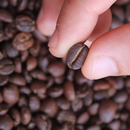 Почему все больше производителей кофе предпочитают диверсифицировать свои культуры