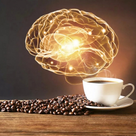 Кофе и память: как кофеин влияет на умственные способности и сосуды