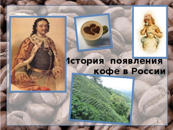 Появление кофе в России