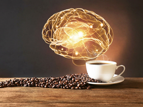 Кофе влияет на структуру человеческого мозга