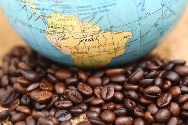 Самое главное о бразильском кофе