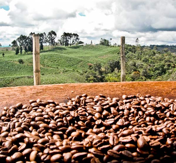 Отчеты о кофейном рынке: в феврале зафиксирован резкий рост цен на кофе