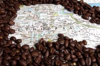 Эфиопы организуют кофейно-чайный НИИ 