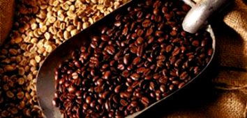 Причины, оказывающие влияние на снижение качества кофе