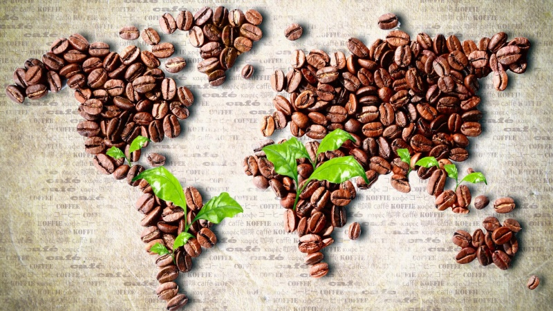 Выставка «Мир кофе» прошла в Италии 