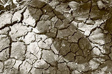 Вьетнам страдает от засухи